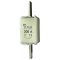 ETI Wkładka topikowa zwłoczna NH2/WT-2C gG 160A/500V Kod 004114229