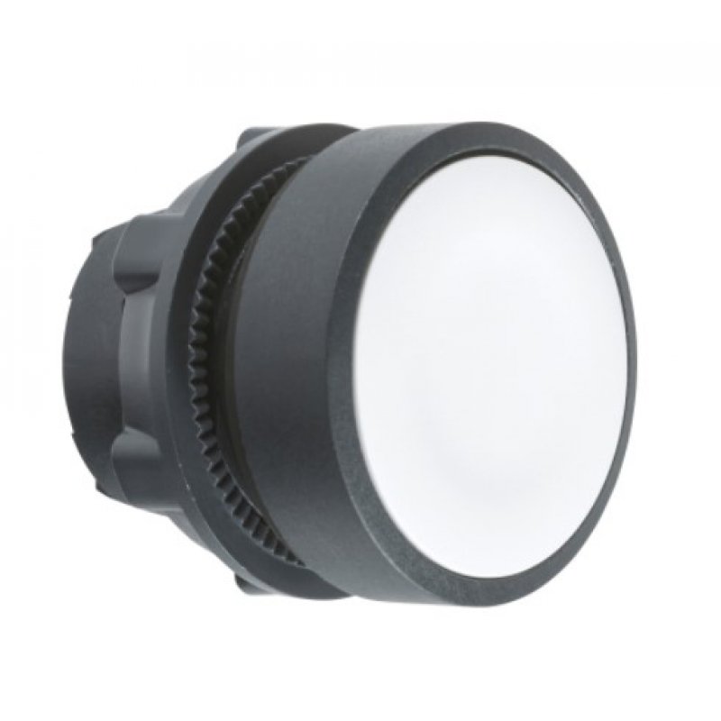 Schneider Electric Harmony XB5 Główka przycisku płaskiego plastikowego, biała, bez oznaczenia Kod ZB5AA1