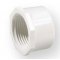 Nibco PVC-U Zaślepkaz gwintem nakrętna KZ/KW 3/4 Kod 448-007