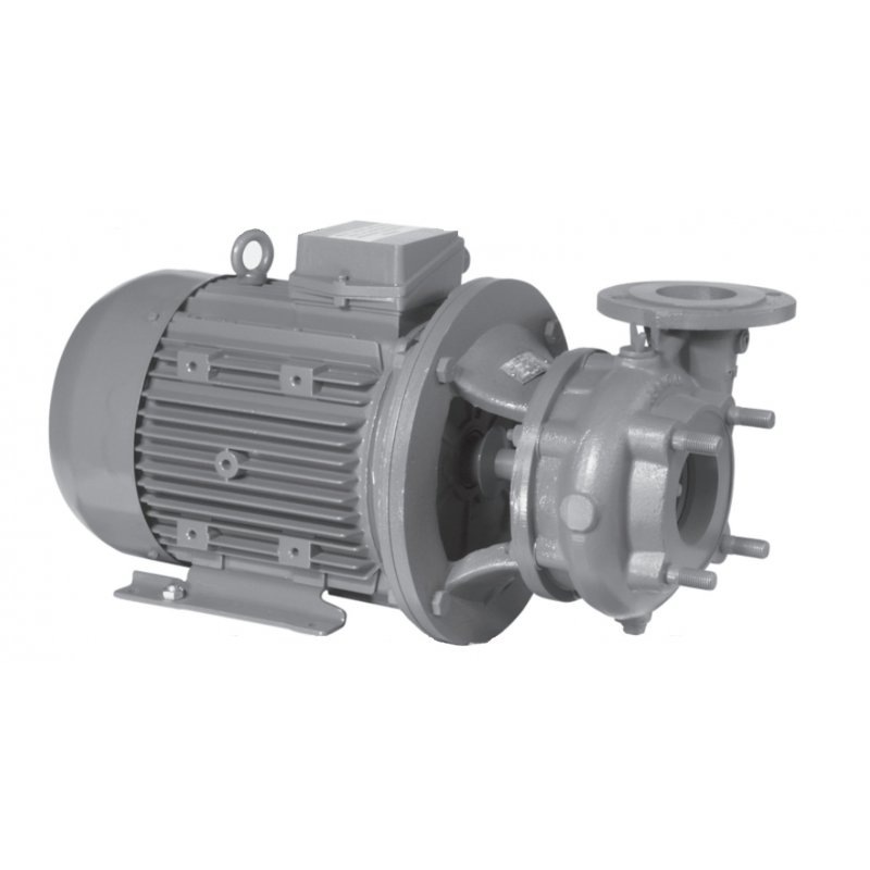 LFP 65PJM250 Pompy jednostopniowe standardowe Kod A101-065-250-06